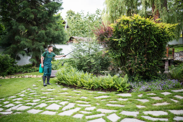 Best Pest Prevention Services  in Conway, PA