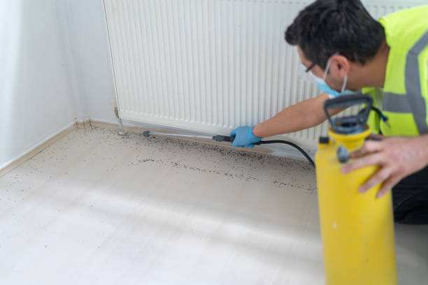 Best Pest Prevention Services  in Conway, PA